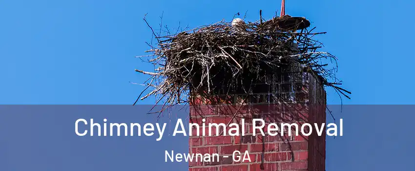  Chimney Animal Removal Newnan - GA