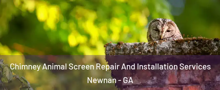  Chimney Animal Screen Repair And Installation Services Newnan - GA