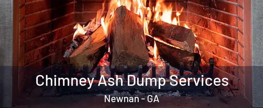  Chimney Ash Dump Services Newnan - GA