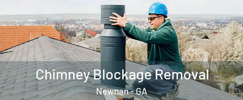  Chimney Blockage Removal Newnan - GA