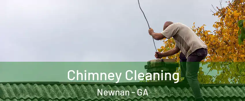  Chimney Cleaning Newnan - GA