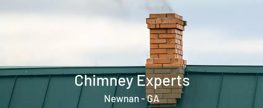 Chimney Experts Newnan - GA