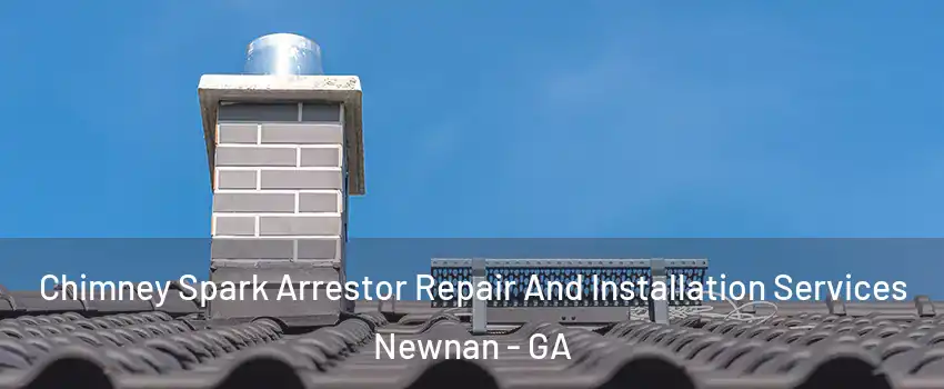  Chimney Spark Arrestor Repair And Installation Services Newnan - GA