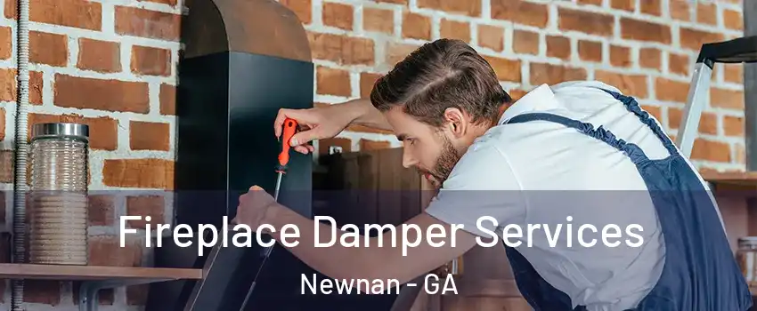  Fireplace Damper Services Newnan - GA