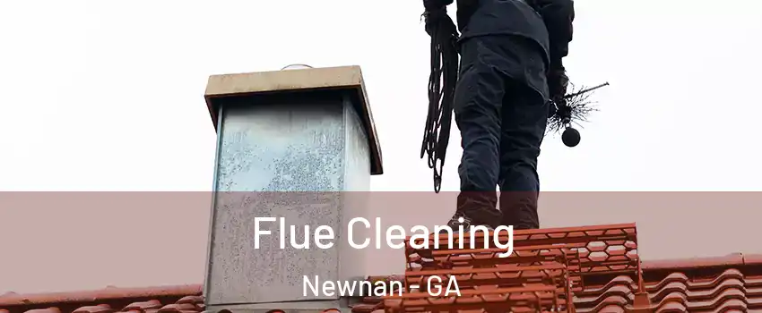  Flue Cleaning Newnan - GA