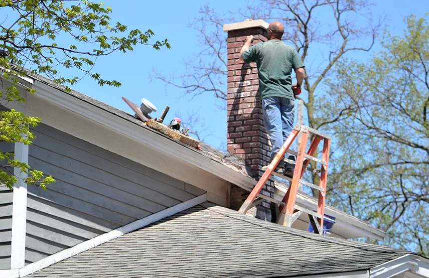 Chimney & Fireplace Inspections Services in Newnan, GA