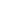 Professional Chimney Flue Installation in Newnan, Georgia