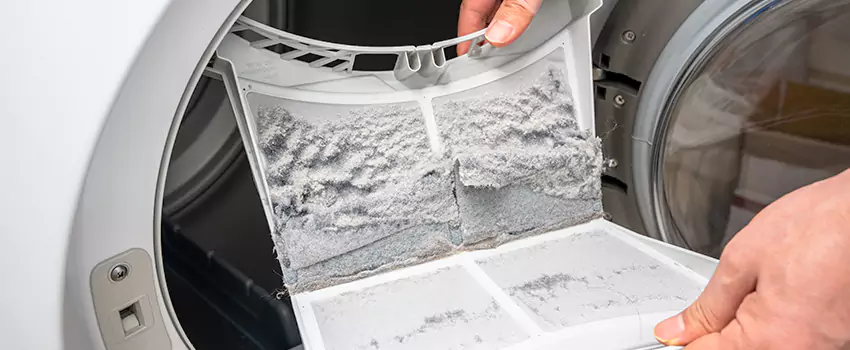 Best Dryer Lint Removal Company in Newnan, Georgia