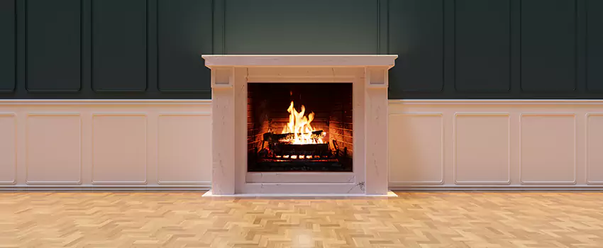 Napoleon Electric Fireplaces Inspection Service in Newnan, Georgia