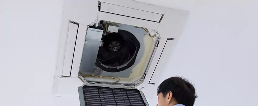 Benefits of Professional Air Duct Cleaning in Newnan, Georgia