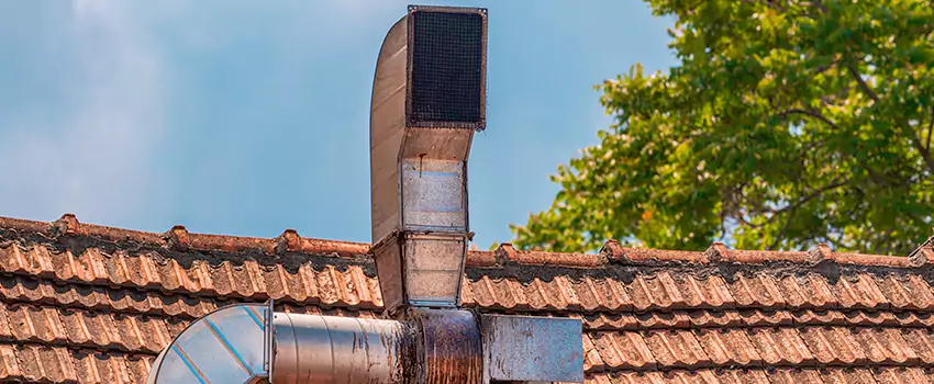 Chimney Blockage Removal in Newnan, Georgia