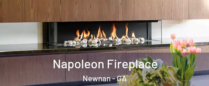  Napoleon Fireplace Newnan - GA